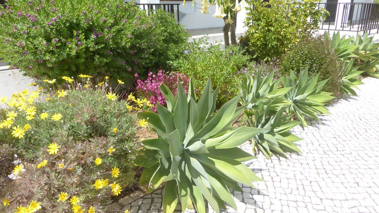 Photo of Outdoor in Vale da Lama