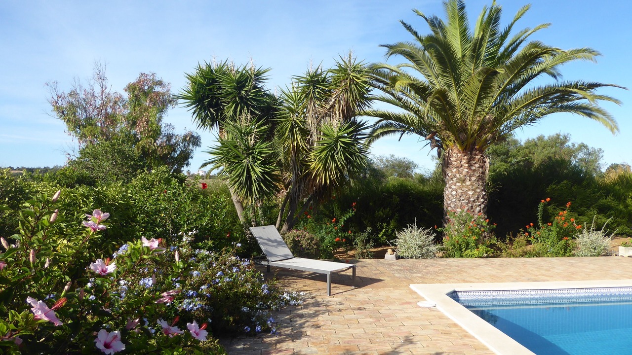 Photo of Outdoor in Vale da Lama