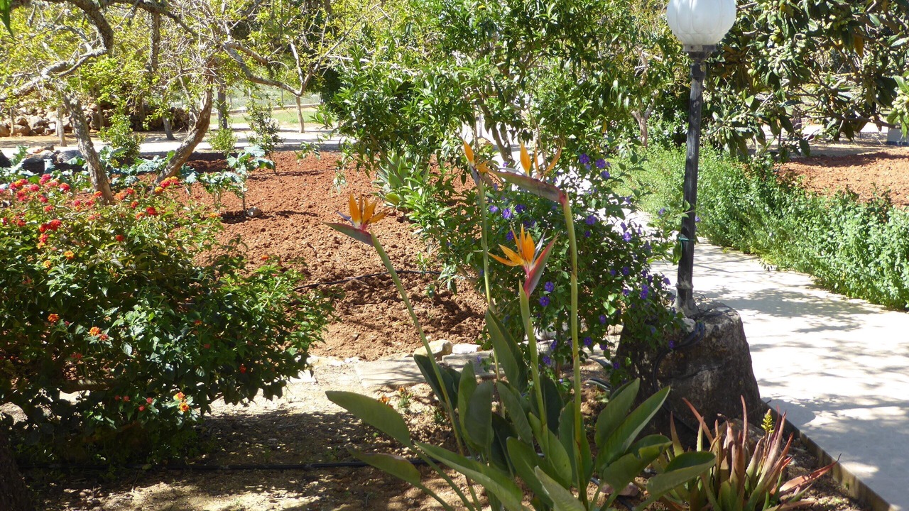 Photo of Outdoor in Vale da Lama