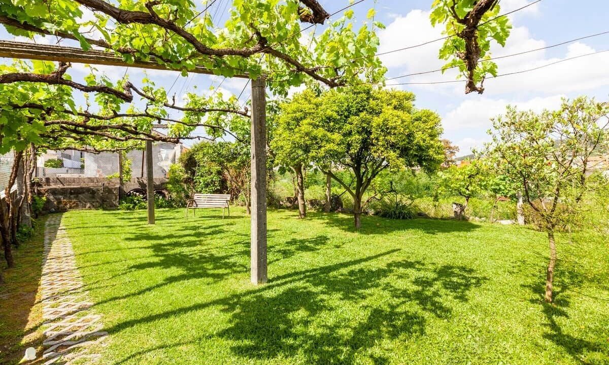 Photo of Outdoor in Penafiel