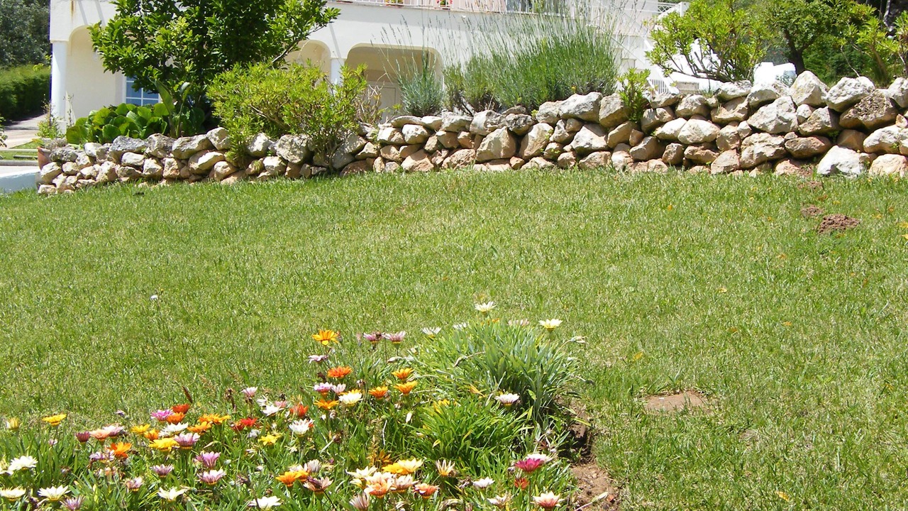 Photo of Outdoor in A Dos Francos