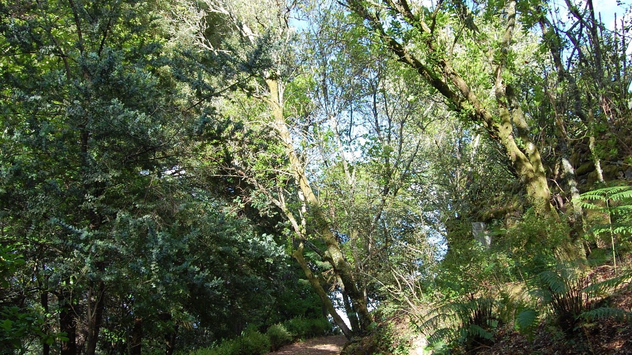 Photo of Outdoor in Mosteiro