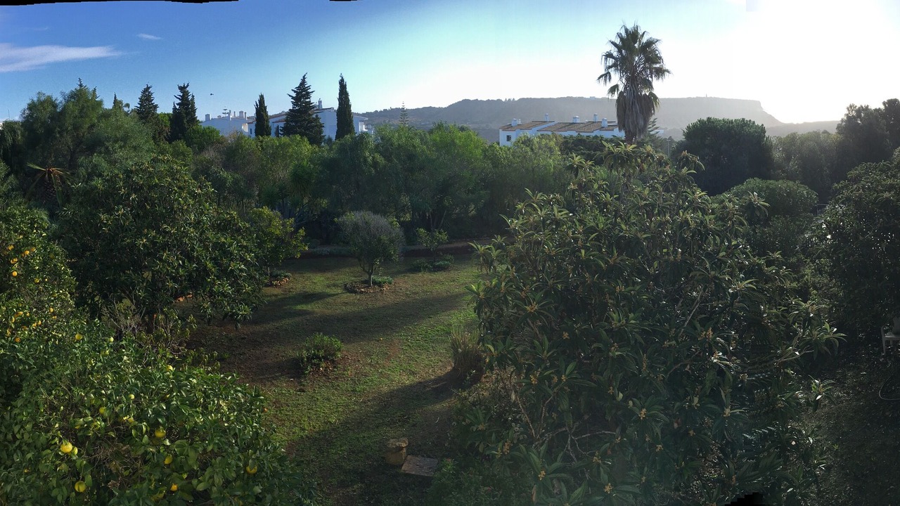 Photo of Outdoor in Praia da Luz
