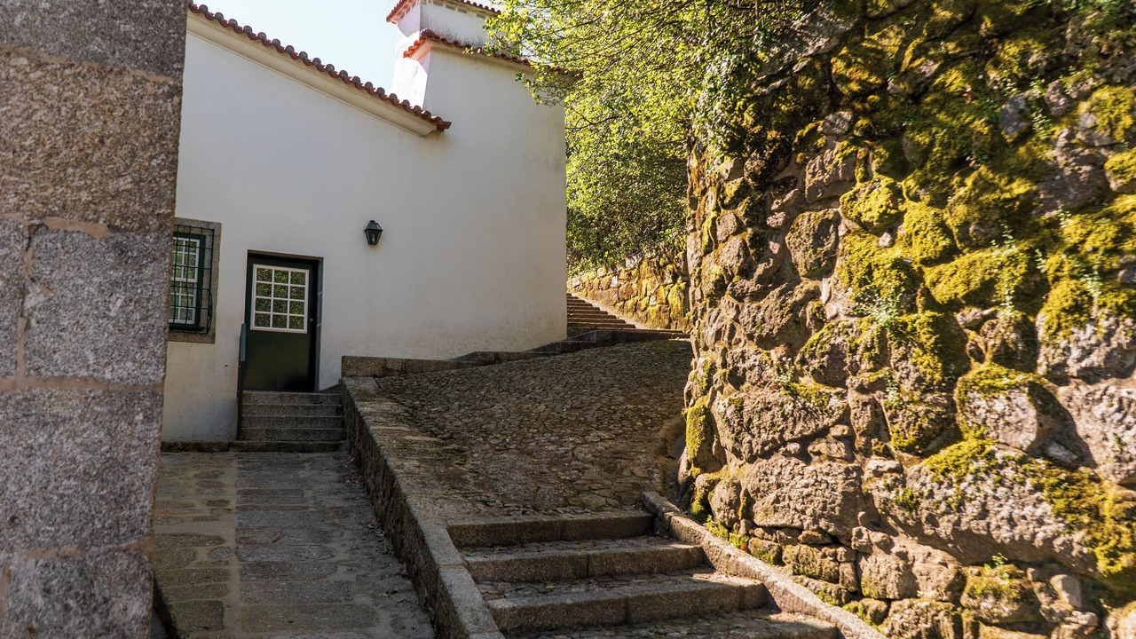 Photo of Outdoor in Santo Tirso