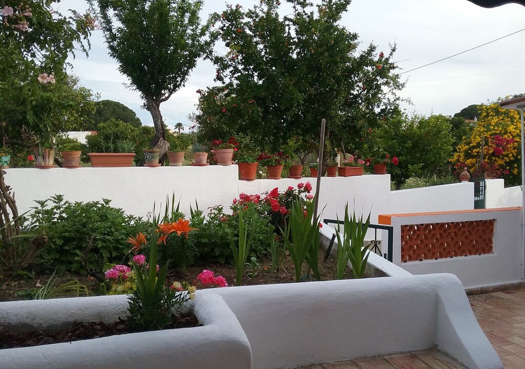 Photo of Others in Olhao