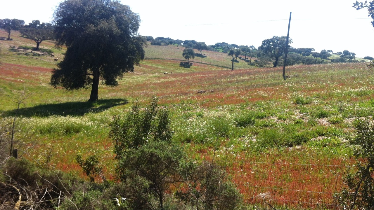 Photo of Outdoor in Quintos