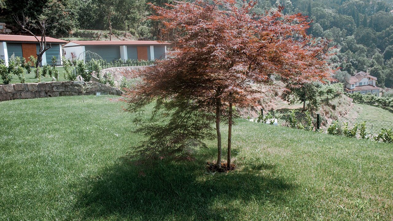 Photo of Outdoor in Vieira do Minho