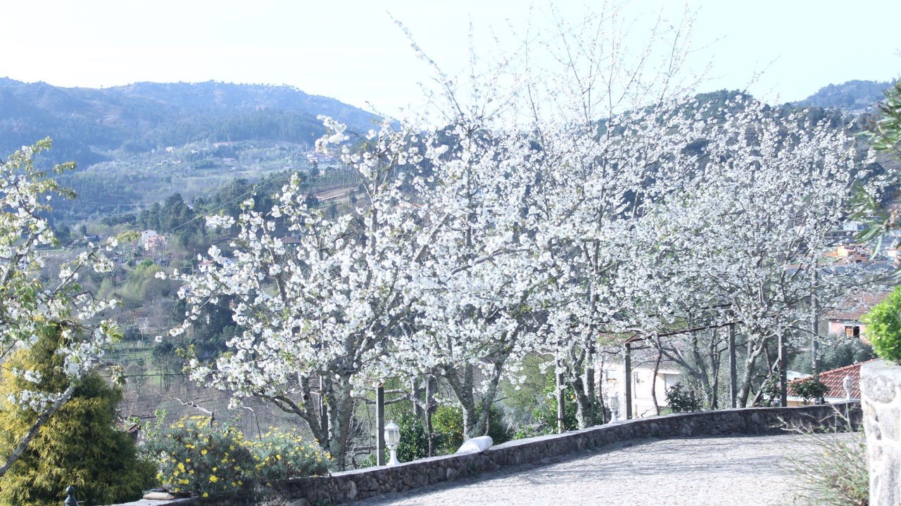 Photo of Outdoor in Cabeceiras de Basto