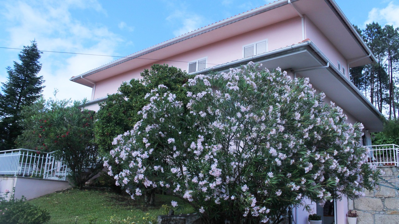 Photo of Outdoor in Cabeceiras de Basto