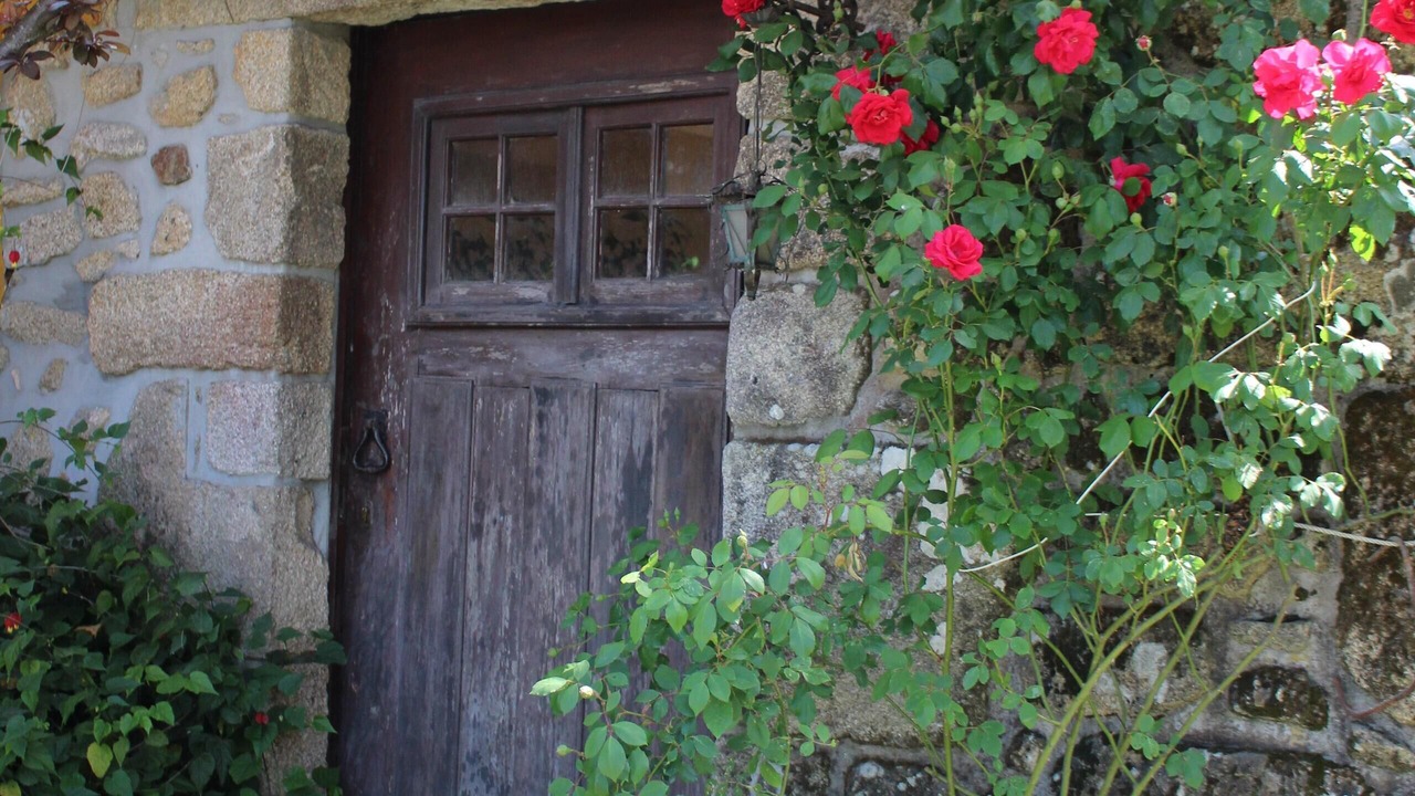 Photo of Outdoor in Seara
