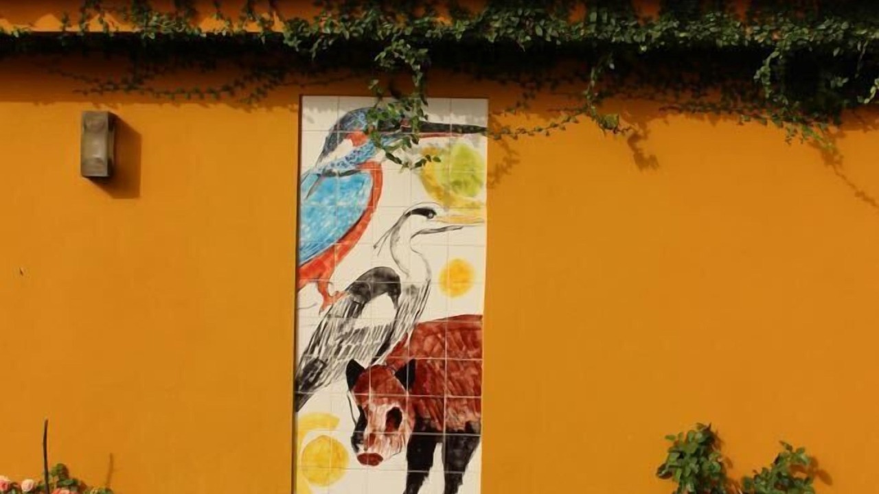 Photo of Outdoor in Seara