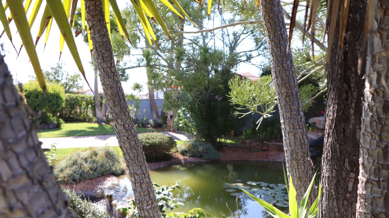 Photo of Outdoor in Almancil