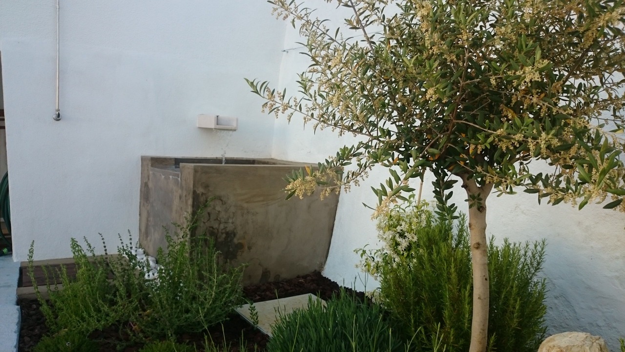 Photo of Outdoor in Arrentela
