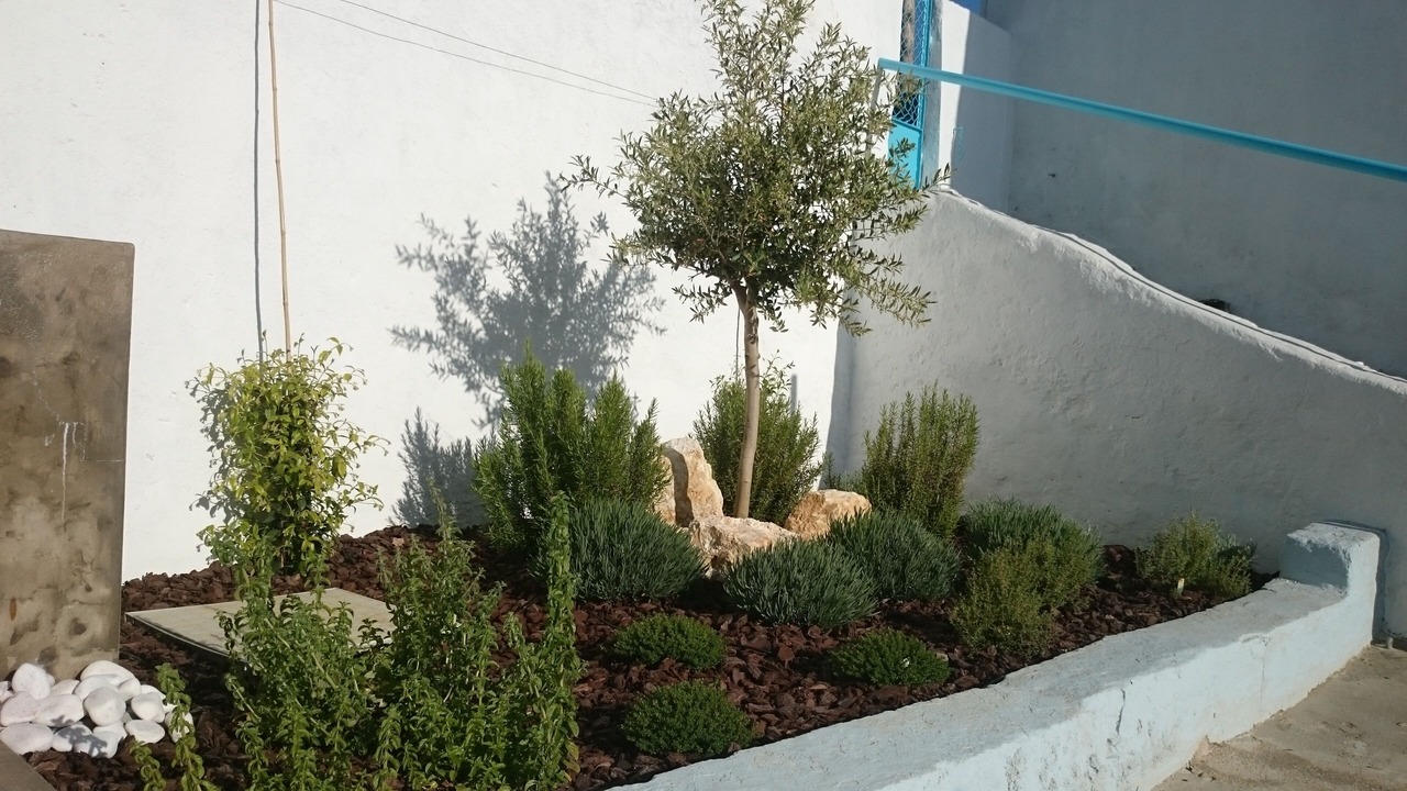 Photo of Outdoor in Arrentela