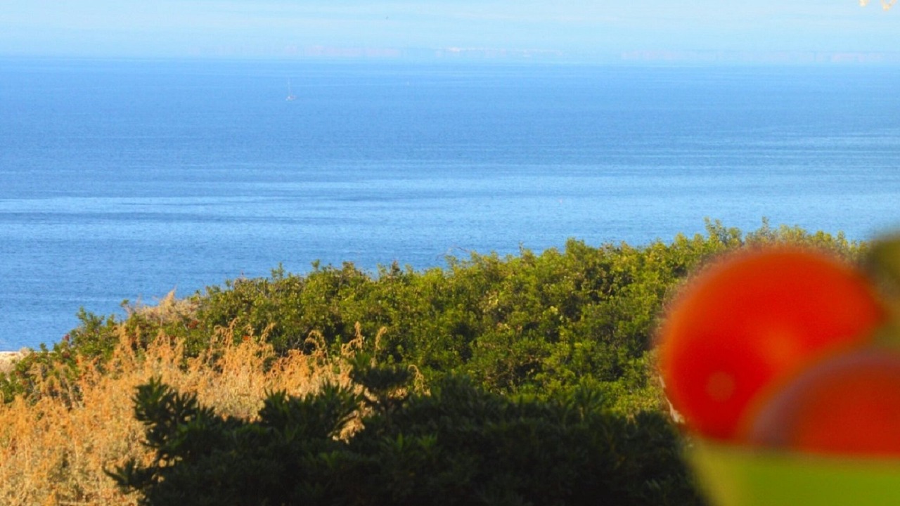 Photo of Others in Vale de Centianes