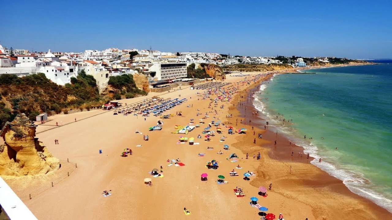 Photo of Others in Calicos