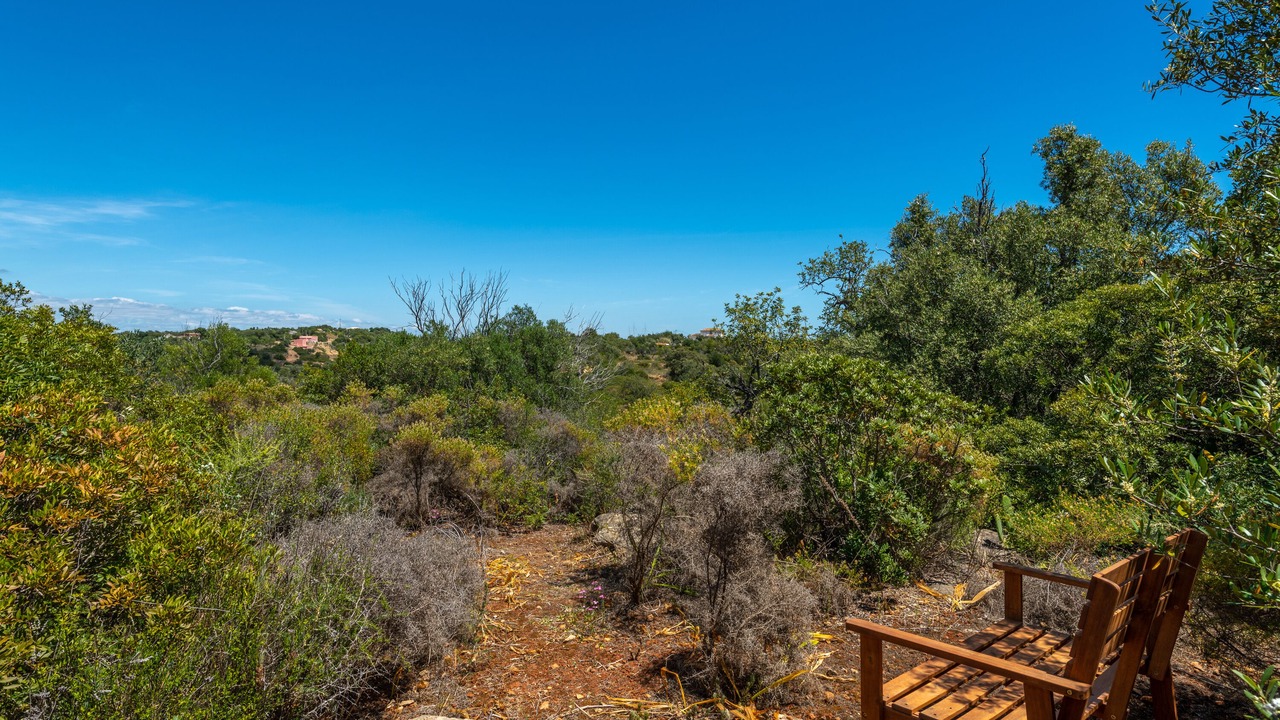 Photo of Outdoor in Olhao