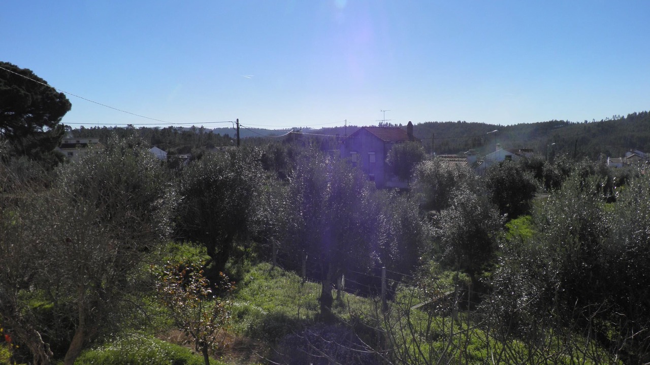 Photo of Outdoor in Sardoal