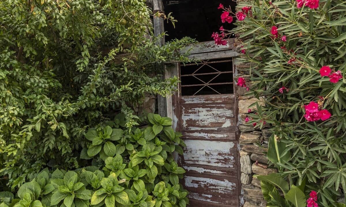 Photo of Outdoor in Mirandela