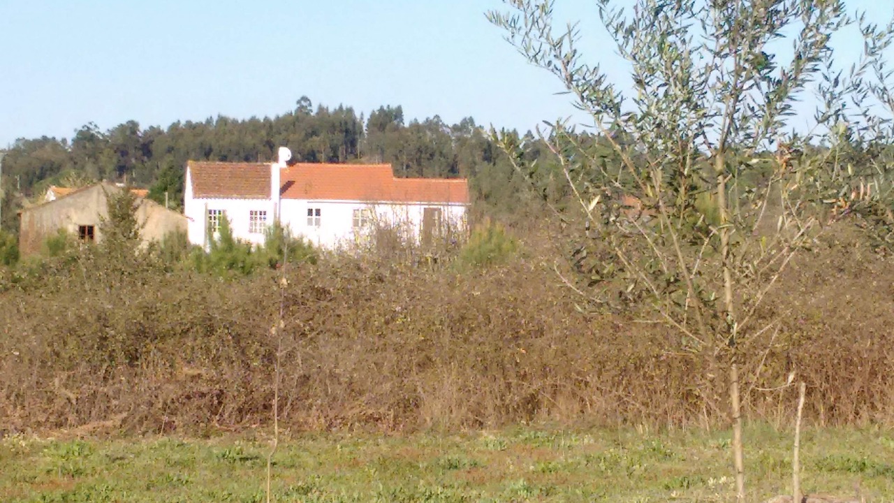 Photo of Outdoor in Arganil