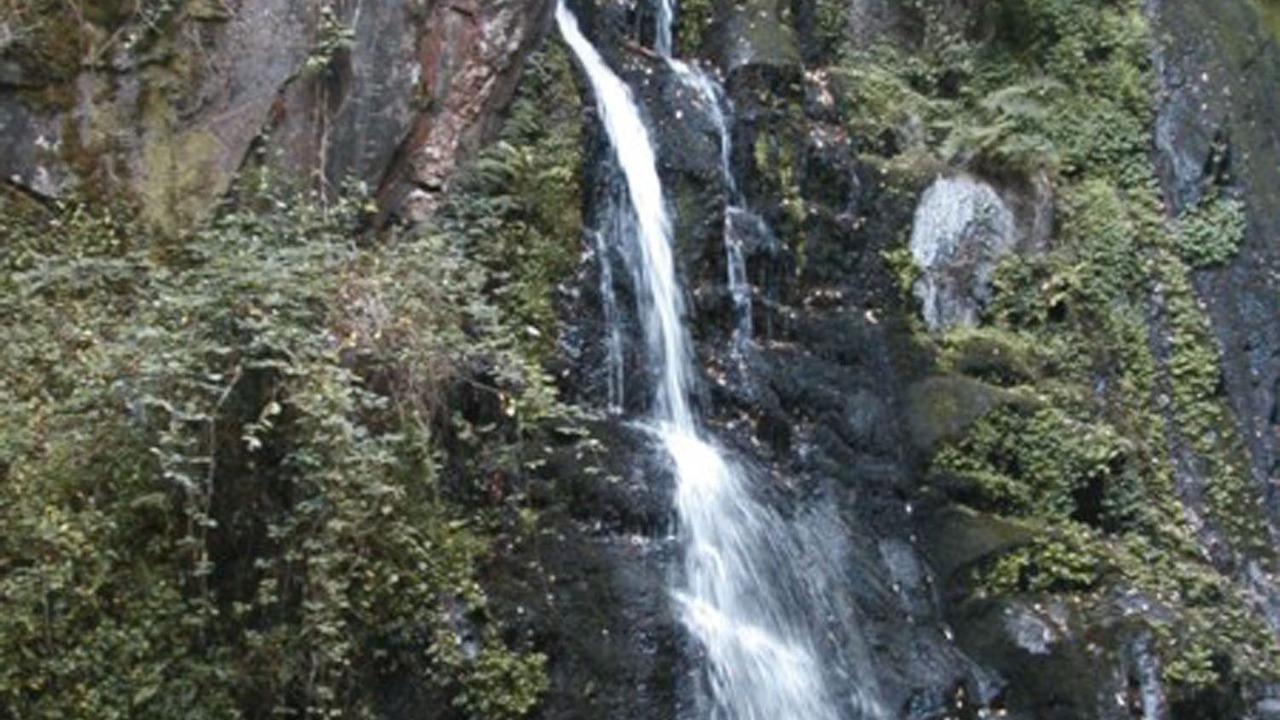 Photo of Outdoor in Arganil
