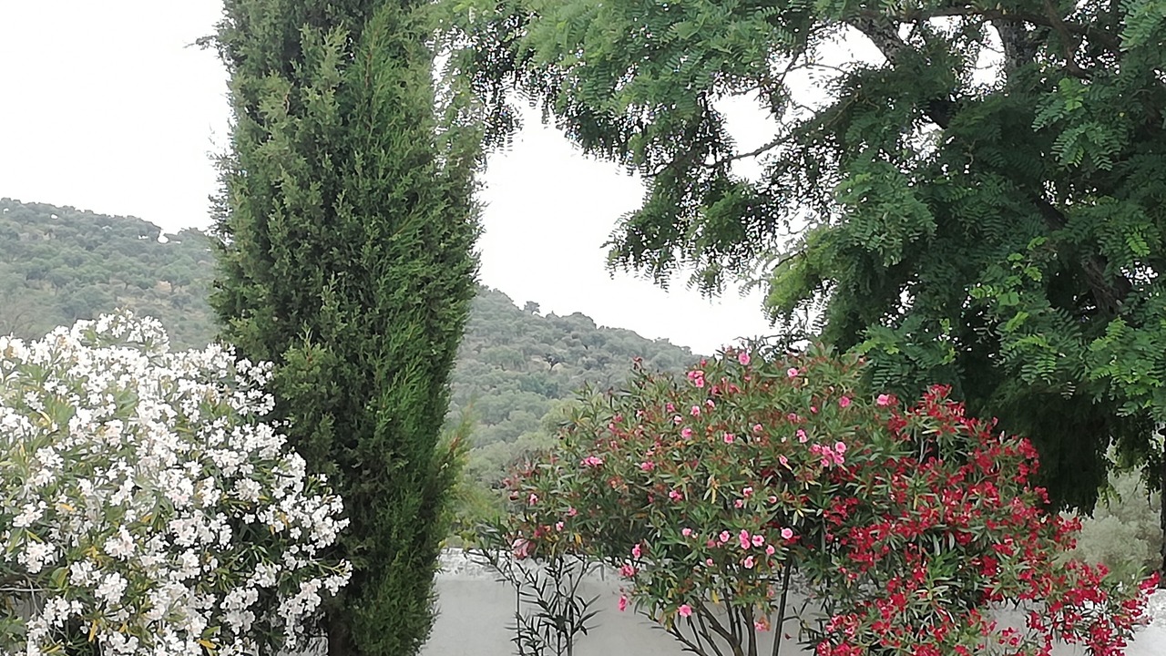 Photo of Outdoor in Elvas