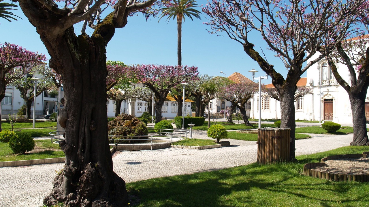 Photo of Others in Soure