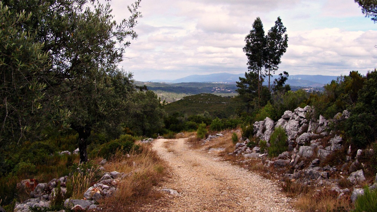 Photo of Others in Soure