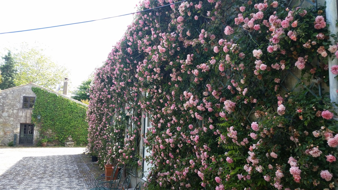 Photo of Outdoor in Afife