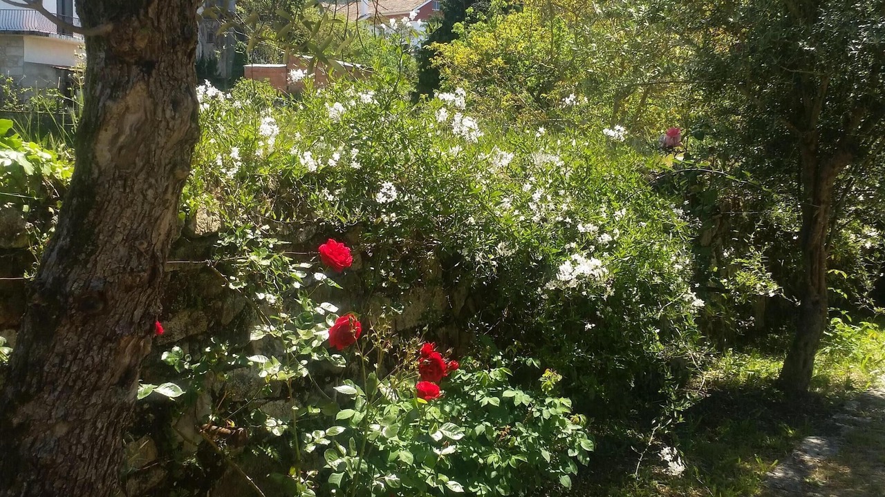 Photo of Outdoor in Afife