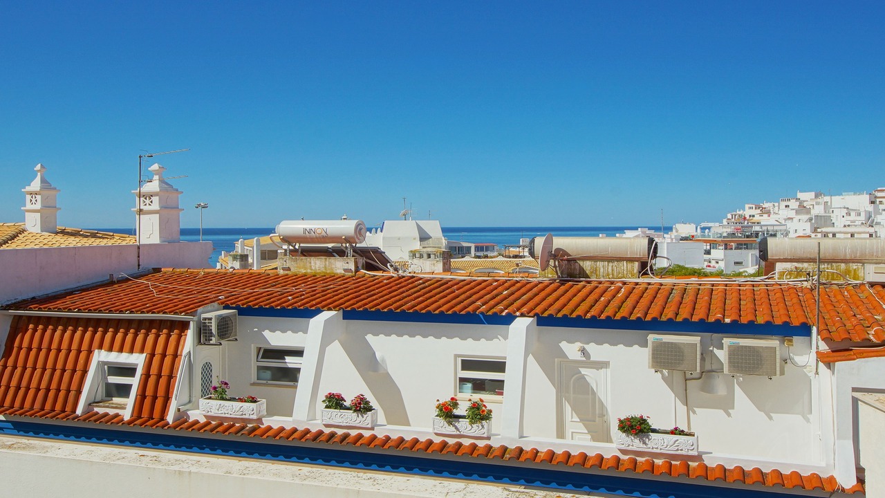Photo of Outdoor in Calicos