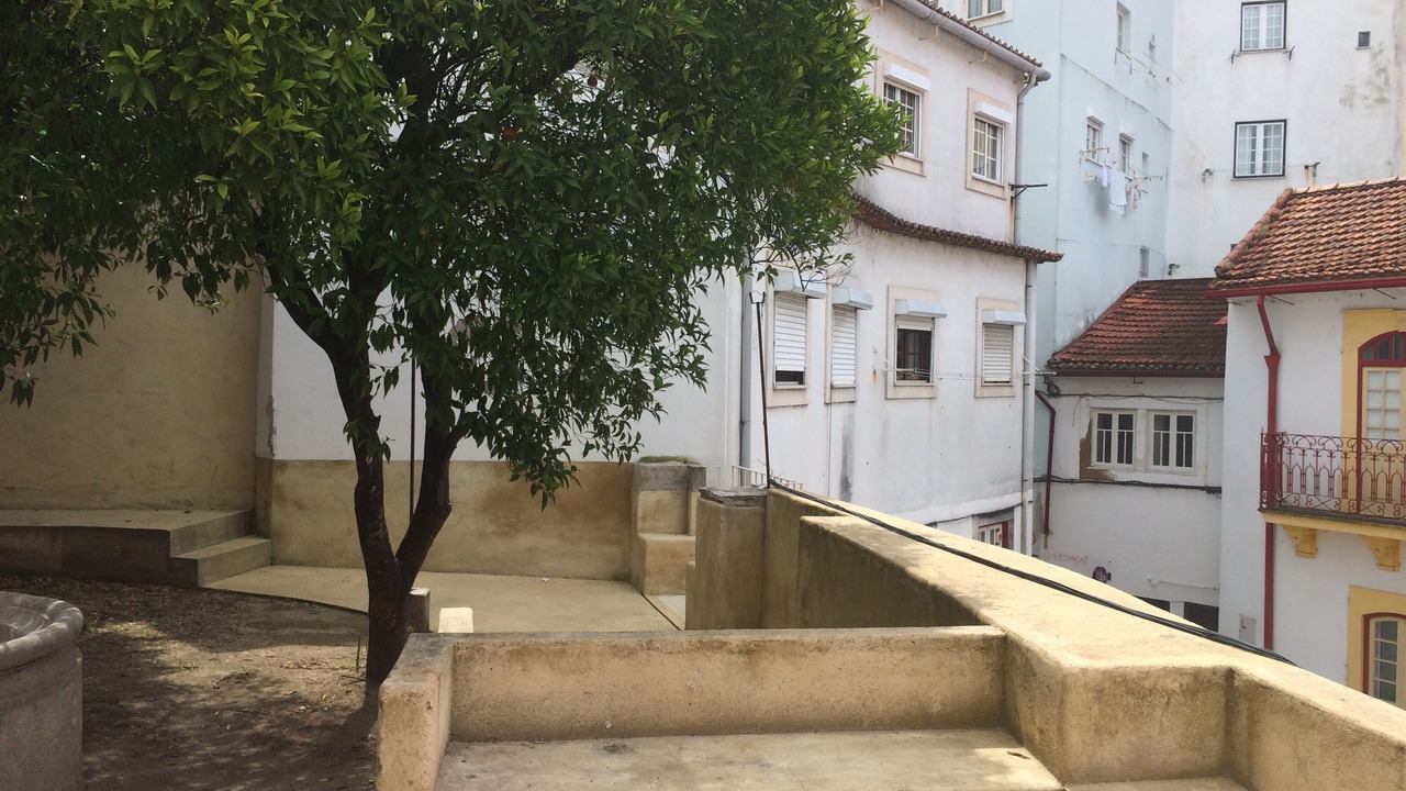Photo of Outdoor in Coimbra City Centre