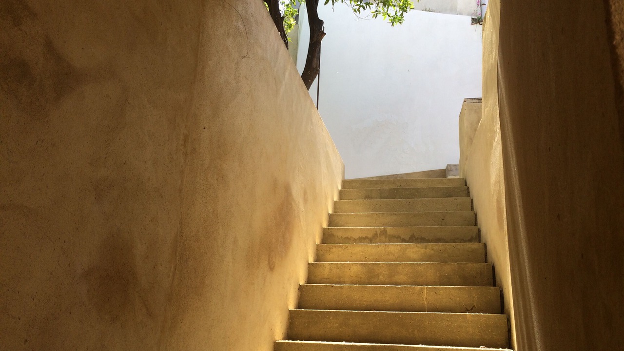 Photo of Outdoor in Coimbra City Centre