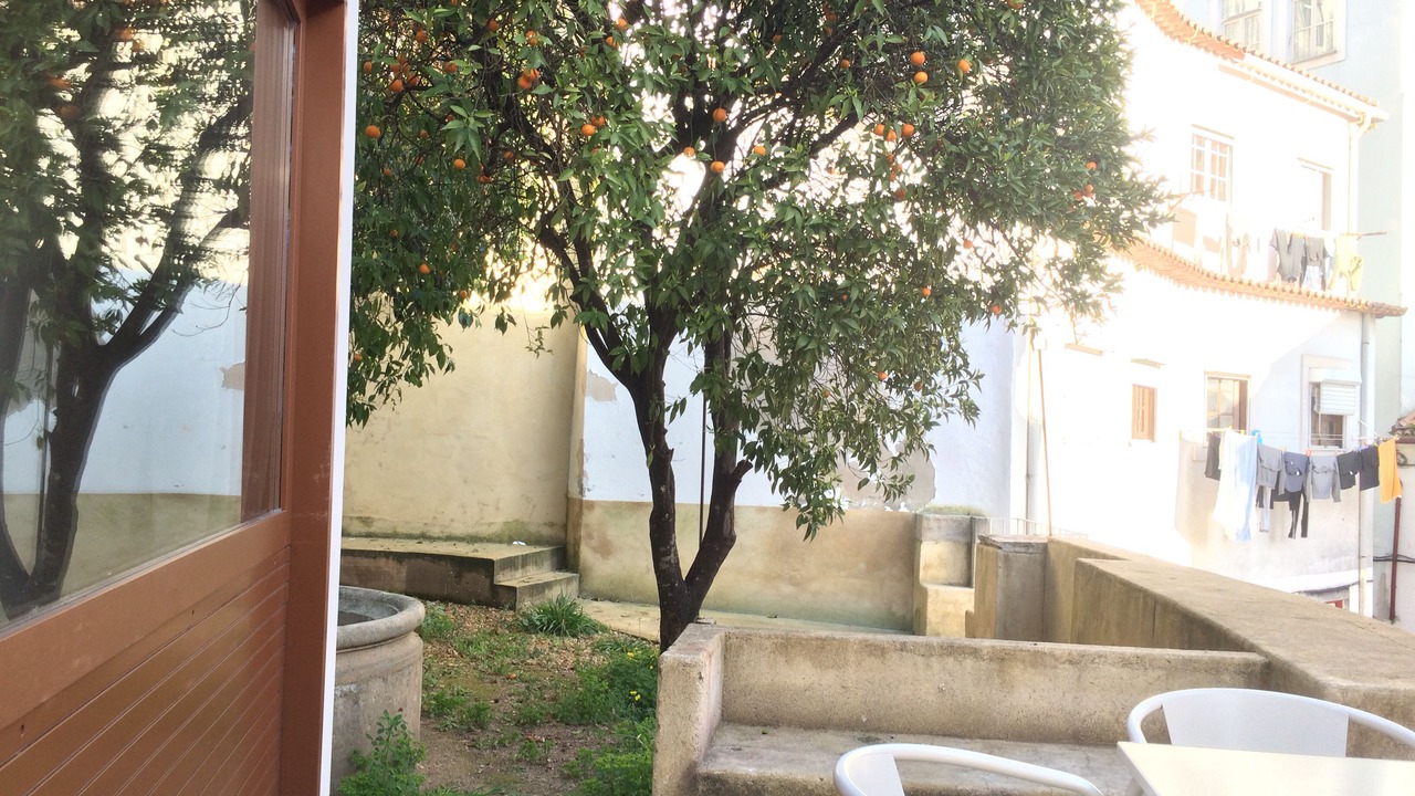 Photo of Outdoor in Coimbra City Centre