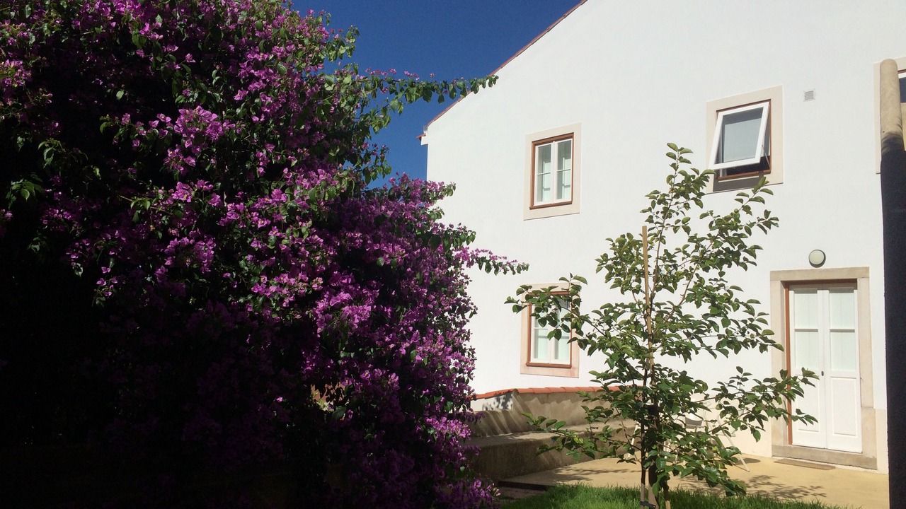 Photo of Outdoor in Coimbra City Centre