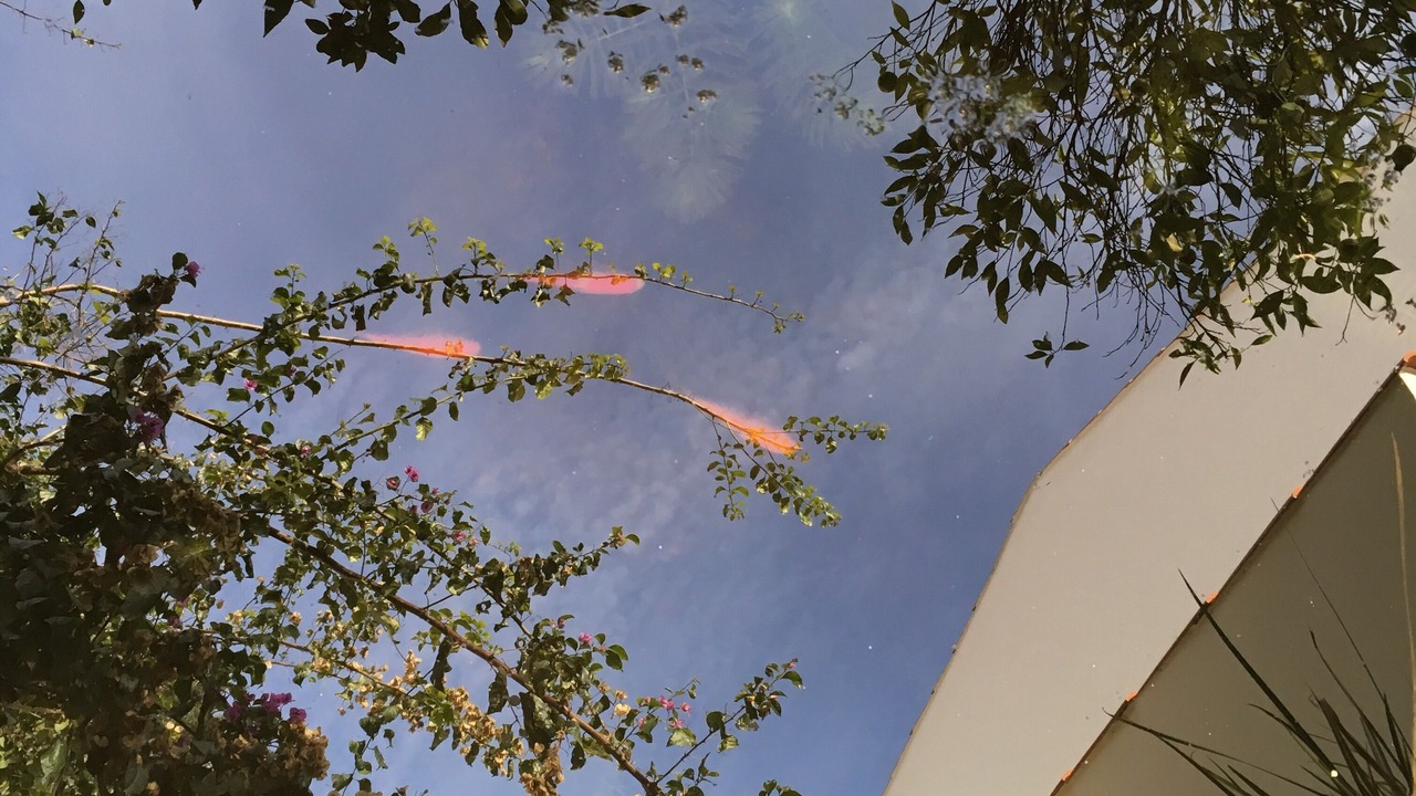 Photo of Outdoor in Coimbra City Centre