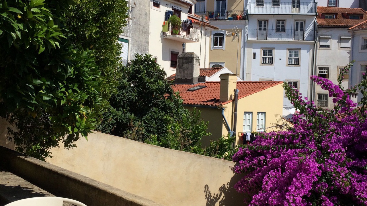 Photo of Outdoor in Coimbra City Centre