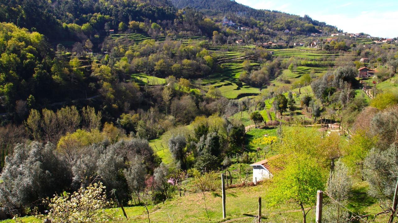 Photo of Outdoor in Terras de Bouro