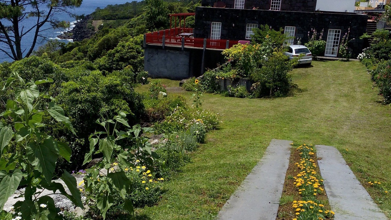 Photo of Outdoor in Pico