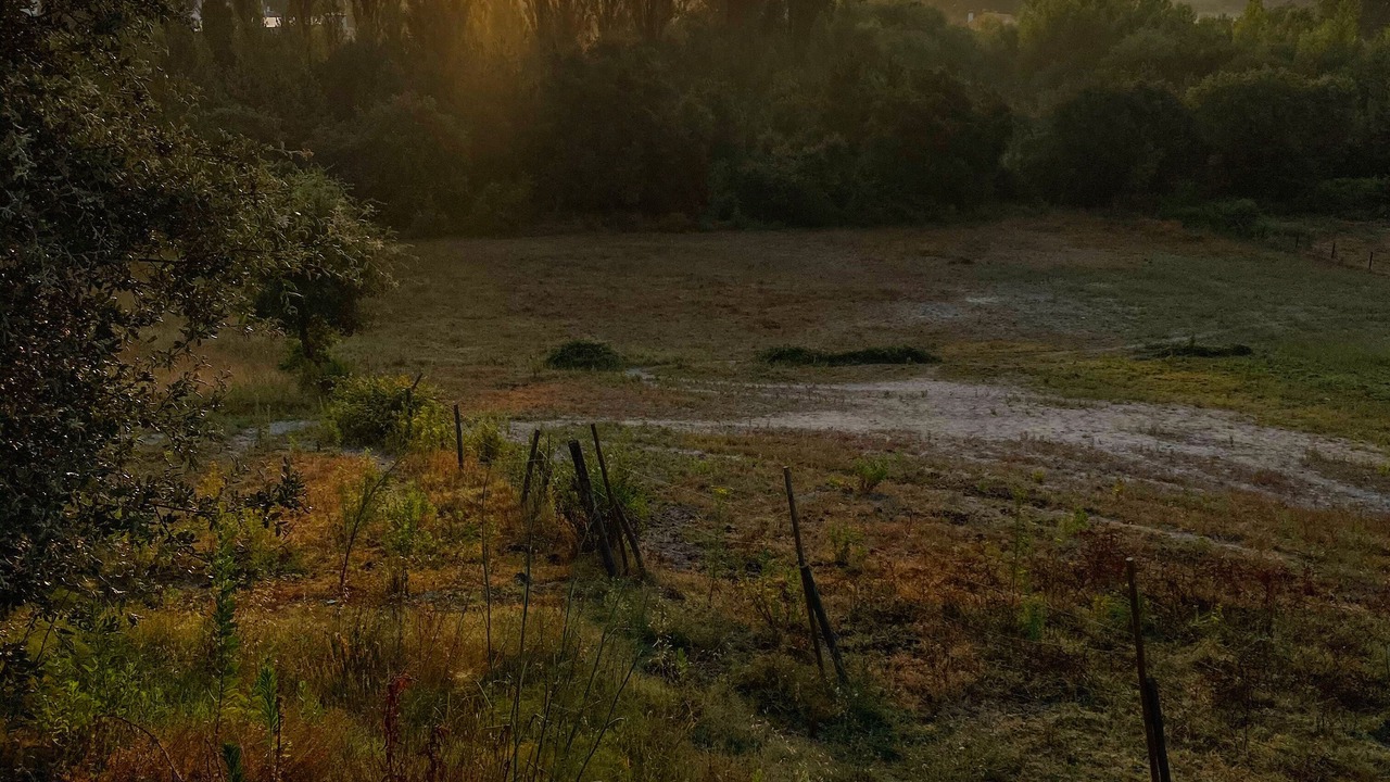 Photo of Outdoor in Nossa Sra. da Piedade