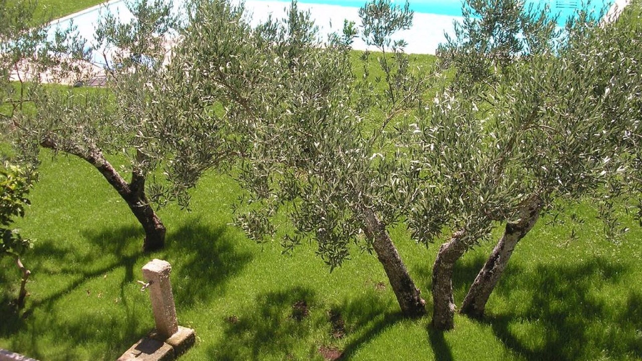 Photo of Outdoor in Vila Real