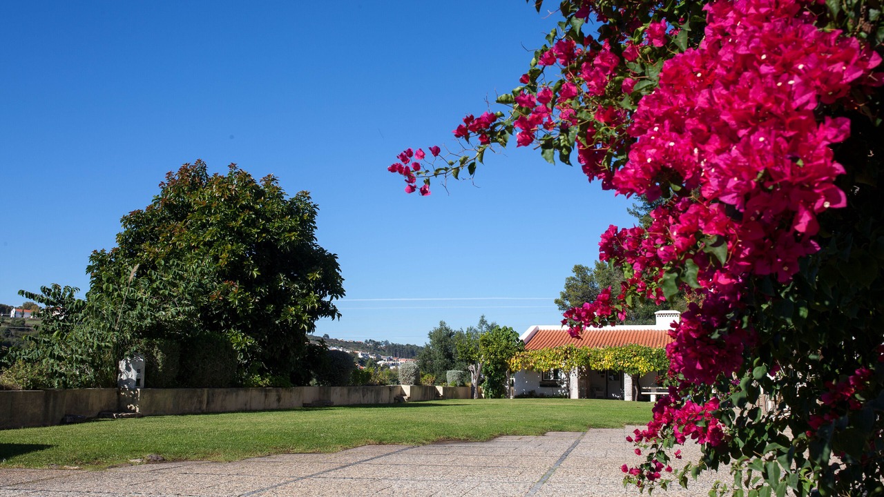 Photo of Outdoor in Oeiras