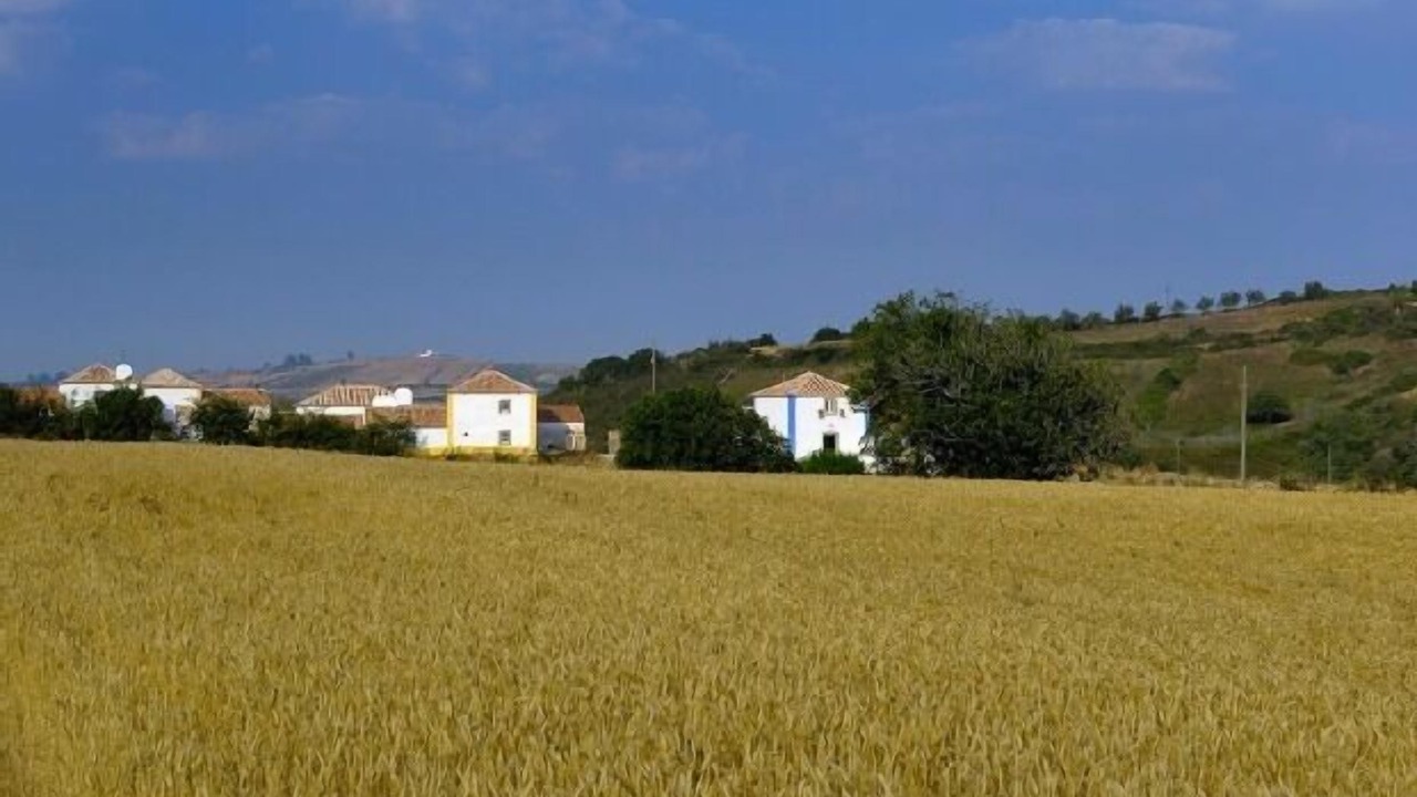 Photo of Others in Aldeia da Mata Pequena