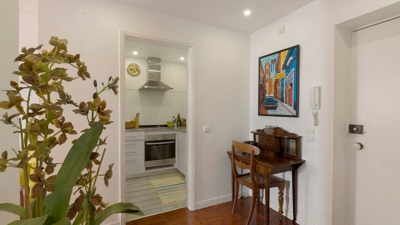 Photo of Kitchen in Sao Martinho
