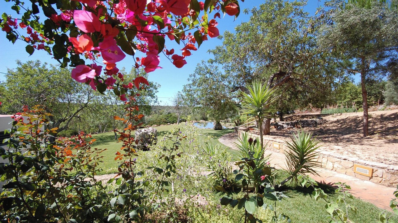 Photo of Outdoor in Fonte do Bispo
