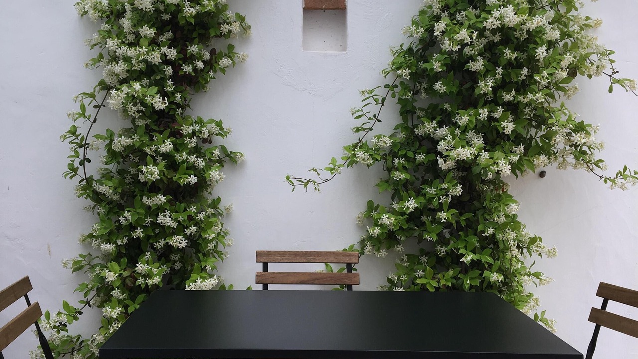 Photo of Outdoor in Serpa