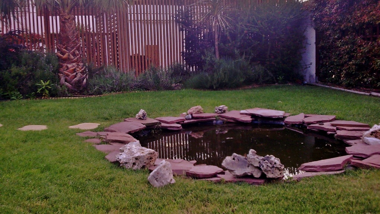 Photo of Others in Quinta do Anjo