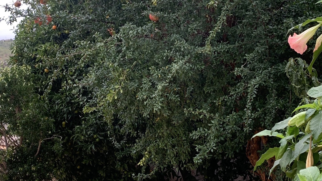 Photo of Outdoor in Albufeira