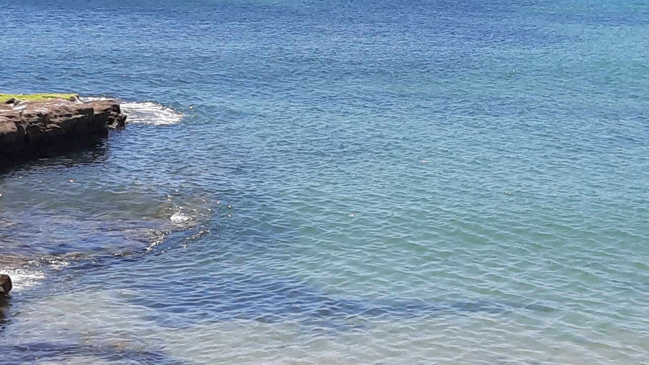 Photo of Others in Estoril