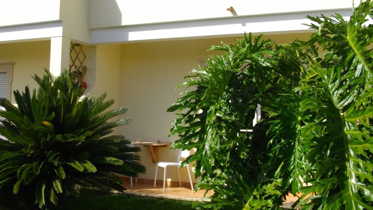 Photo of Outdoor in Atalaia
